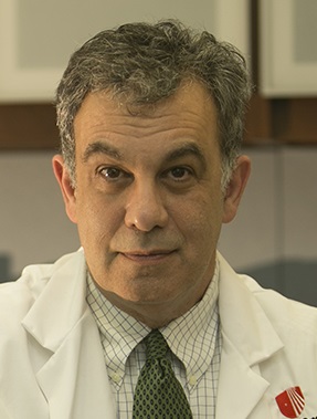 Joel Saltz